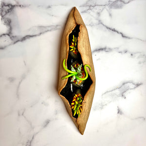 Seed Pod Sculpture, Pods within Pod. Sculpted from stoneware it shows the outer husk around the inner blooming seed pods which are rich and vibrant in color, coming to life.