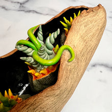 Load image into Gallery viewer, detail image of my Seed Pod Sculpture, Pods within Pod. Sculpted from stoneware it shows the outer husk around the inner blooming seed pods which are rich and vibrant in color, coming to life.