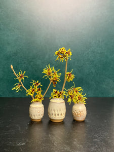 a collection of three small bud vases with witch hazel cuttings blooming in them. the vases are about 1.5-2 inches tall, wheelthrown in red stoneware, have hand carved facets and are glazed in white.