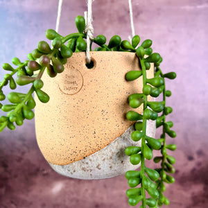 Hanging pottery planters shown with succulents. hanging planter Thrown in speckled buff clay and angle dipped glazed in speckled white. planters are strung with hemp twine and have NO drainage hole. Wheel thrown and handcrafted at Fern Street Pottery