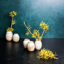 Load image into Gallery viewer, a collection of three small bud vases with witch hazel cuttings blooming in them. the vases are about 1.5-2 inches tall, wheelthrown in red stoneware, have hand carved facets and are glazed in white.