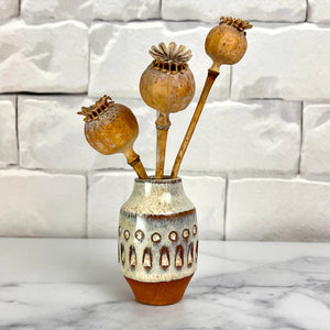 Mini bud vase shown with dried poppies. Vase was thrown with red stoneware clay and hand carved, then glazed with white glaze