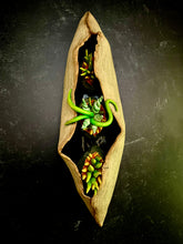 Load image into Gallery viewer, Seed Pod Sculpture, Pods within Pod. Sculpted from stoneware it shows the outer husk around the inner blooming seed pods which are rich and vibrant in color, coming to life. shown on a dark background