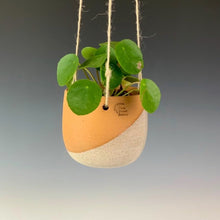 Load image into Gallery viewer, pottery hanging planter with twine, planted with a money plant. red clay glazed at an angle in white. shown in red clay with speckled white glaze.