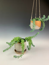 Load image into Gallery viewer, pottery planters with succulents. one hanging planter, one planter with attached drainage tray. thrwon with red clay and and glazed in speckled white