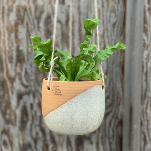 hanging planter with plant. pottery planter in red clay, white glaze