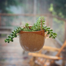 Load image into Gallery viewer, Pottery hanging planter, hanging in window, planted with a succulent which hangs over the edges. shown in red clay with speckled white glaze.